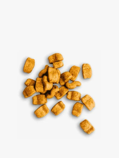 Dry Food for Adult Dogs