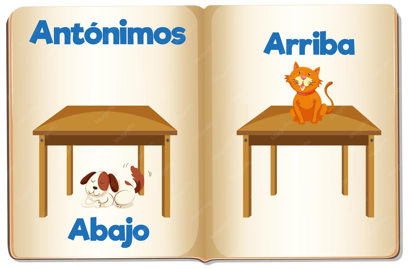BG - Arriba y Abajo - ES