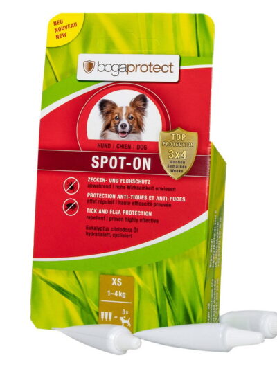 BG - Spot it base (Box) - EN