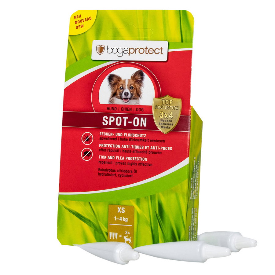 BG - Spot it base (Box) - EN