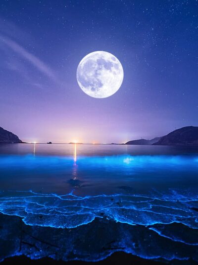 BG - Luna - EN