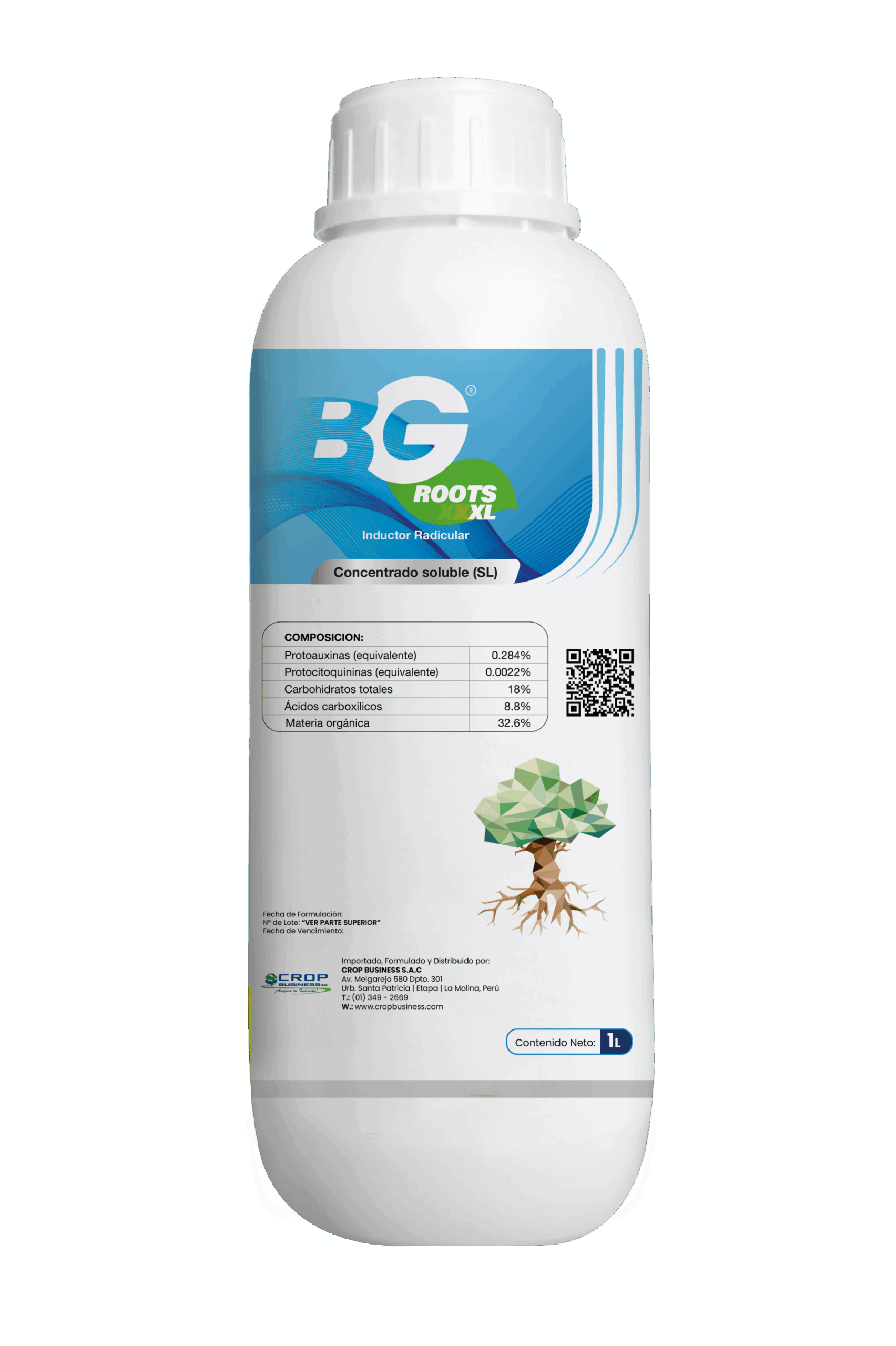 BG - Root - ES