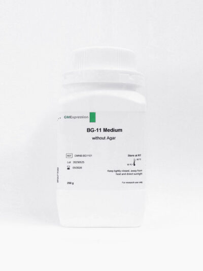 BG - Medium - EN