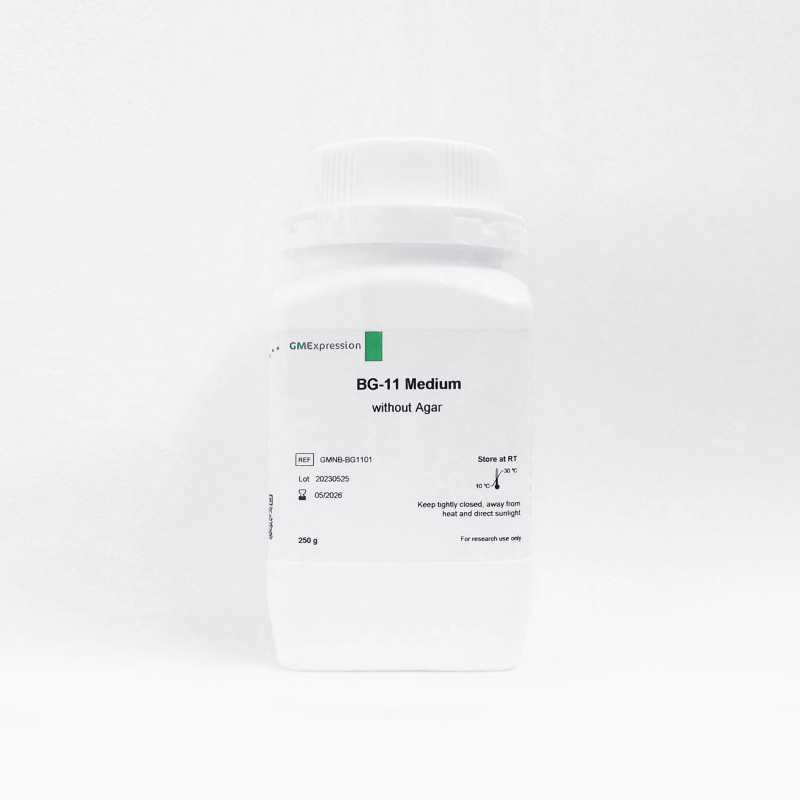 BG - Medium - EN
