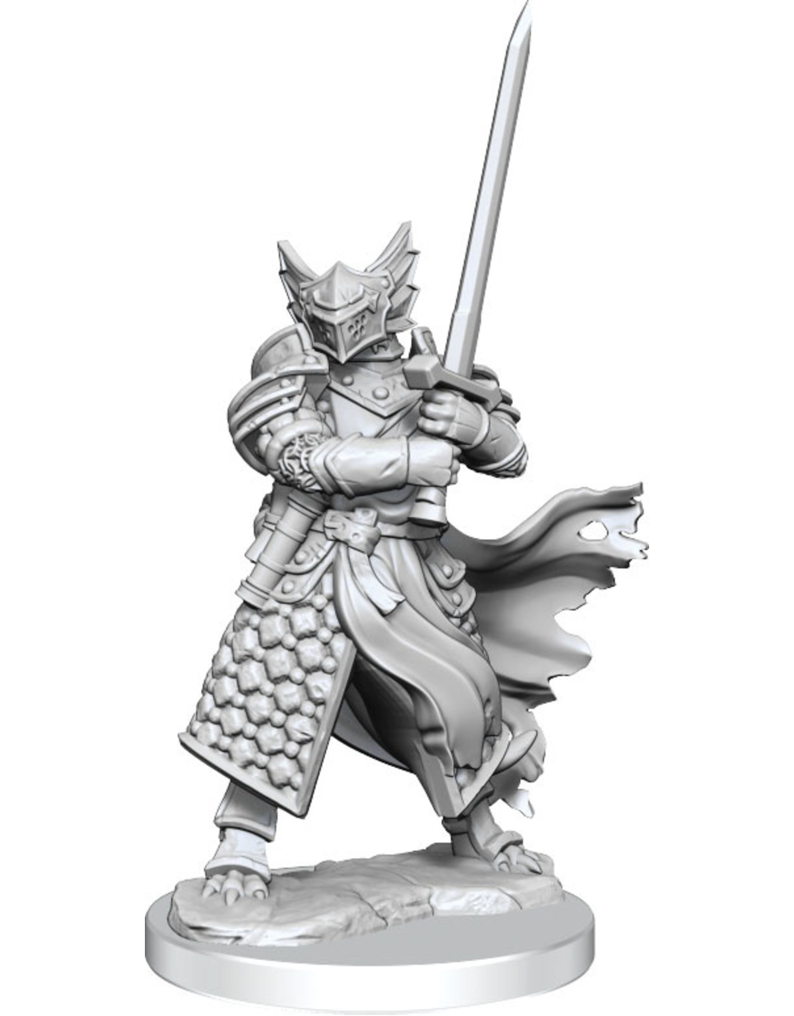 DnD - Frameworks: Dragonborn Paladin Male