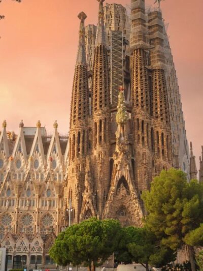 BG - Sagrada: Vida - ESP