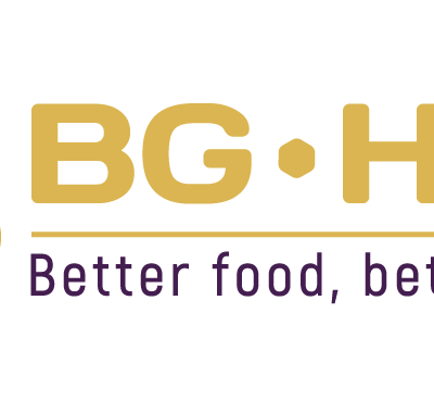 BG - Hive - EN