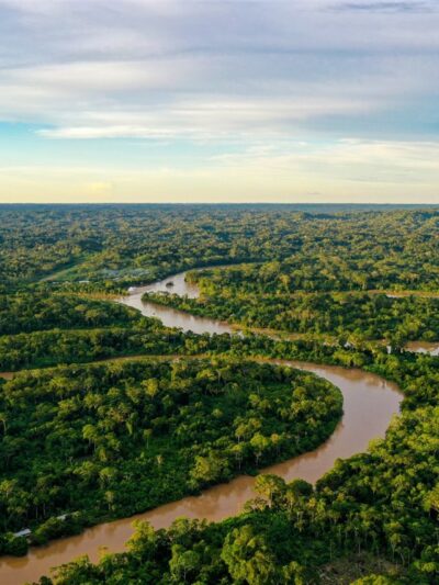 BG - Amazonia - ES