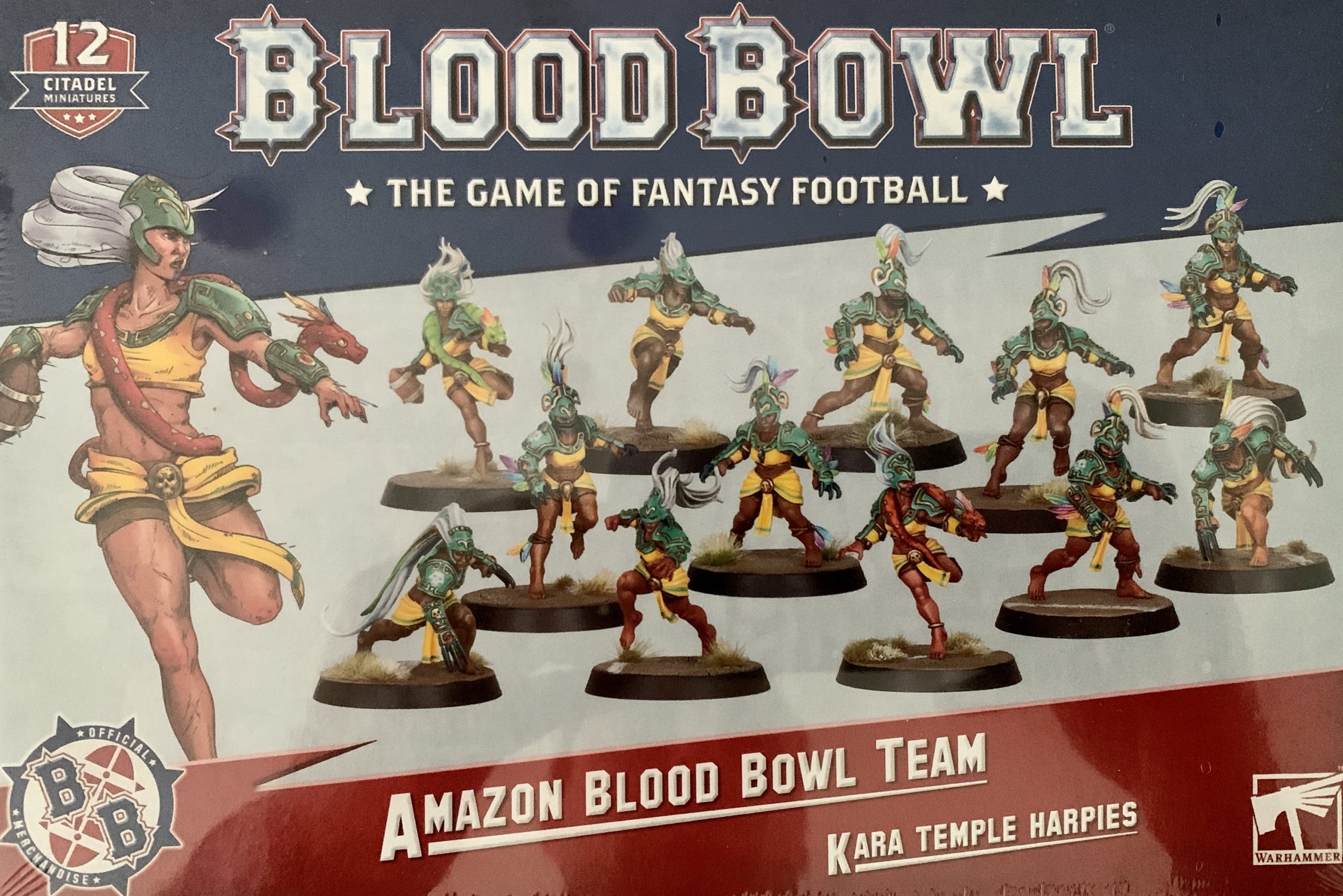 WS - BLOOD BOWL: AMAZON TEAM